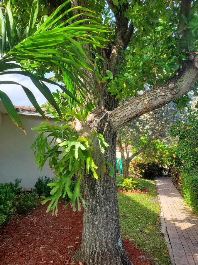Ocean Side Resort - Updated Villa Hillsboro Beach Exterior photo
